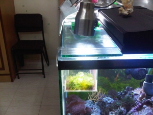 IMG01306 20110531 1838
