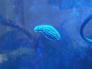 IMG01314 20110602 1041