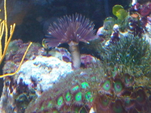 IMG01250 20110512 1216