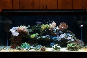 FTS early July 2011