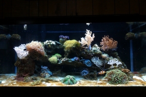FTS July 2011