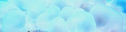 bubble1