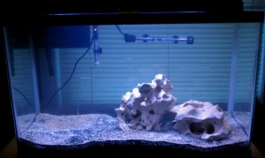 29g 6