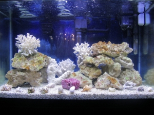 FTS02