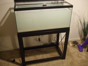 Just added new water and new sand.