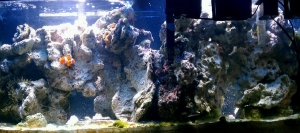 After scrubbing all rocks.