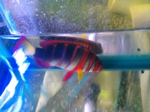 IMAG0657