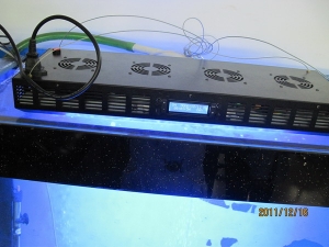 180W LED aquarium light with timer over a fish tank:Uniform 120 degree angle primary optics 2’ x 2’ Core coverage area;4 fans Good cooling result;Smart LCD Controlling
Many modes and easy to control, smart controlling