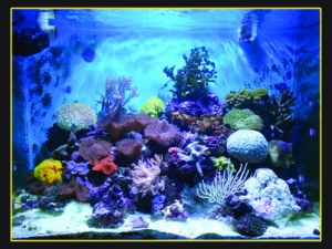 As on 14th jan 2012