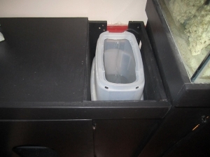 IMG 2162 (640x480)