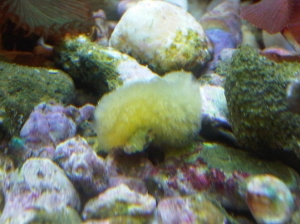 IMG01535 20111019 1634
