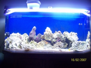 Camera pics'07 10 191