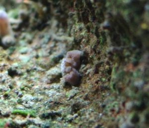 unknown3