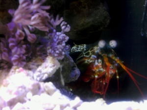 He came out to say hello