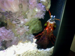 Posing for the camera