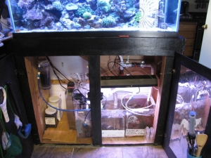 Before re-model