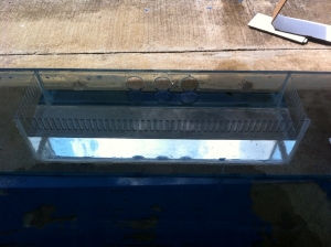Overflow box that I built out of some acrylic I had at work.  It is 6x24x6deep.