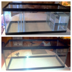 20g long Sump, before and after.
