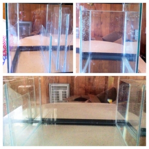 Sump Sections
Top Left: Return
Top Right: Skimmer
Bottom: Fuge