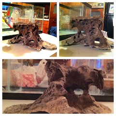 A base rock, not live, I got from a LFS.  I liked the way it looked.