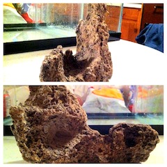 Another base rock, not live, from the LFS.  I liked it also.
