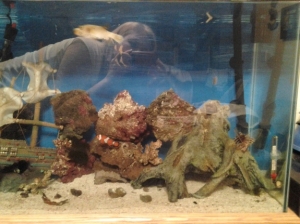 Right Side