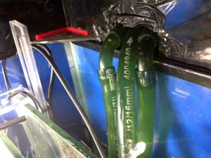 return and chiller pipes