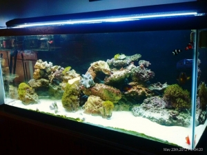 FTS