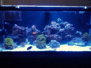 FTS