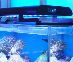 aquarium light s(06 18 11 01 02)