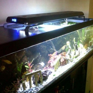 aquarium led lights02