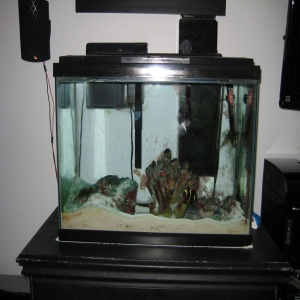 20G tank , with live rock, and live sand.