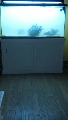 setting up my new tank . upgraded from a 55 gal. tank.