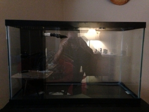 29 gallon