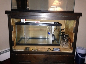 15 gallon refugium inside a DIY strand made out of my old dresser.