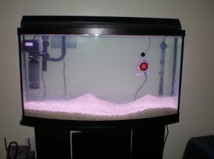 new set up
