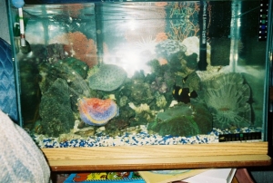 My old tank