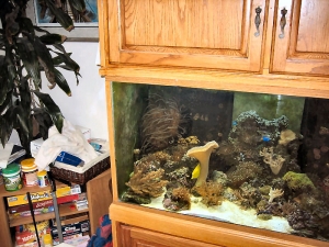 OmarD Tank 2007