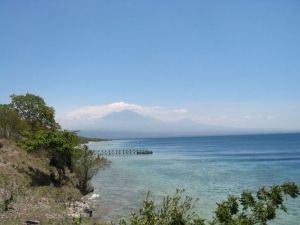 Bali - Menjangen Island  2007