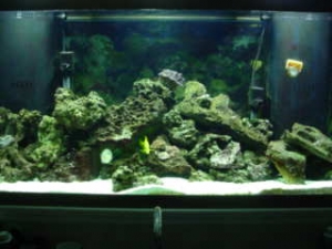 Zoo_s_010