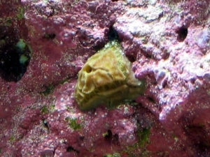 Recent photos