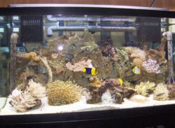 125gal