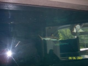shark_small