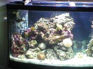 Left Side
