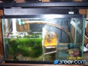 sump21