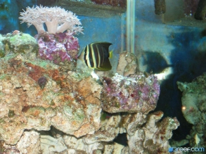 PICT0120