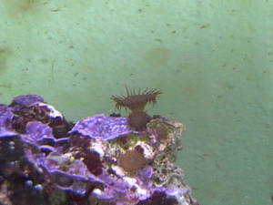 DVC00050