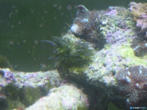 What is this?