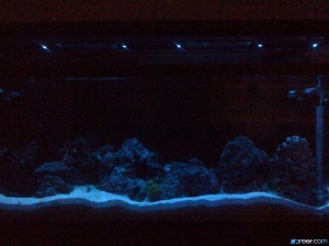55g New light