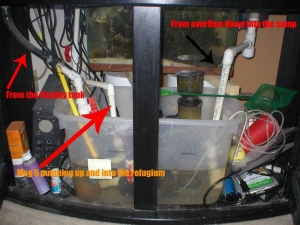 fuge/sump